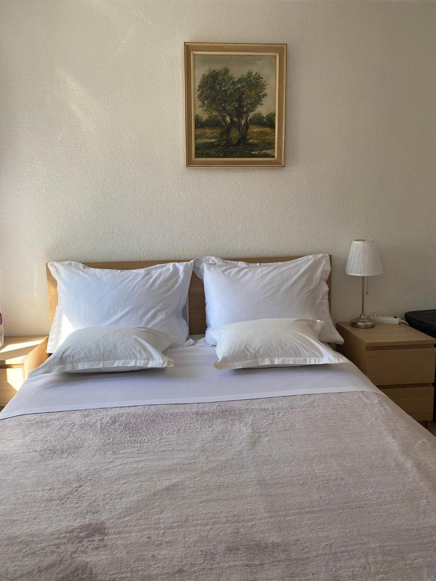 Apartment Ante - Diocletian'S Palace سبليت المظهر الخارجي الصورة